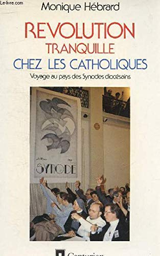 Révolution tranquille chez les catholiques? L'expérience des synodes diocésains en France