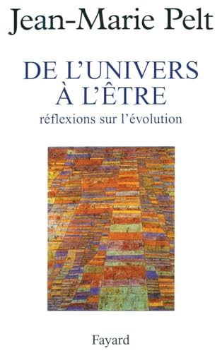 De l'univers à l'être : réflexions sur l'évolution