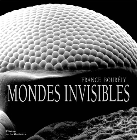 Mondes invisibles: éloge de la beauté cachée